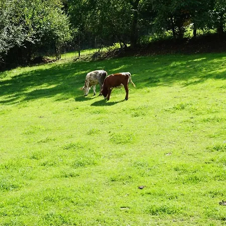 Bauer アパート ドラクセルスリート