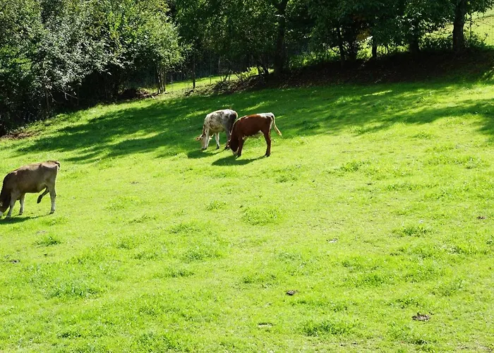 Bauer Apartmán Drachselsried